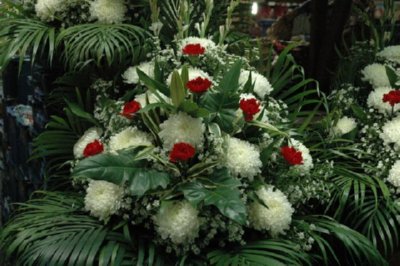 COMERCIO - FLOR (9)